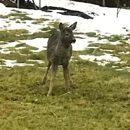 Dr Haave- Middle Of Nowhere, Pikevaerelset Apartment *