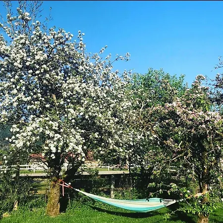 Dr Haave- Middle Of Nowhere, Pikevaerelset Apartment