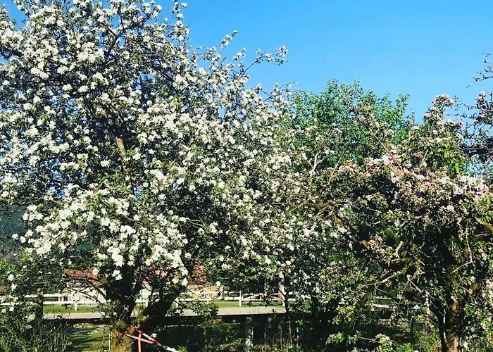 Dr Haave- Middle Of Nowhere, Pikevaerelset Apartman